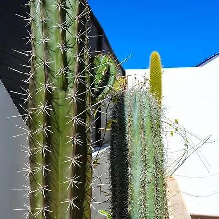 Patricia Casa vacanze