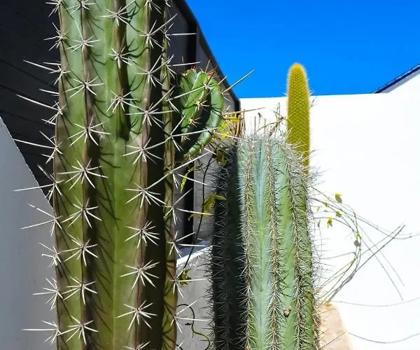 Patricia Semesterbostad